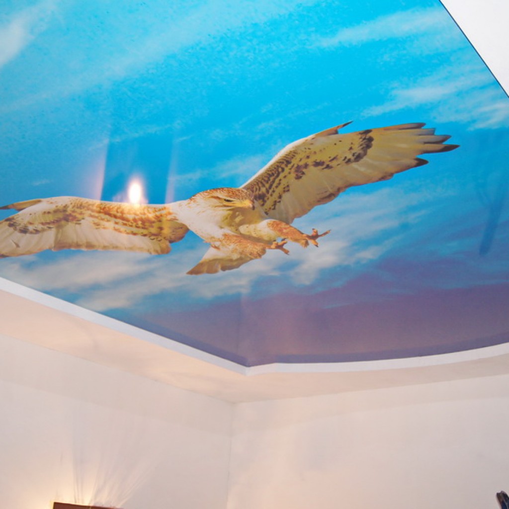 Натяжные потолки с фотопечатью птицы
