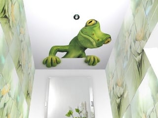 Натяжные потолки с фотопечатью